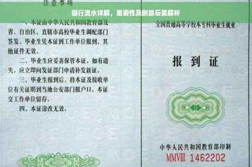 银行流水详解，重要性及删除后果解析