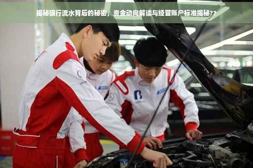 揭秘银行流水背后的秘密，资金动向解读与经营账户标准揭秘??