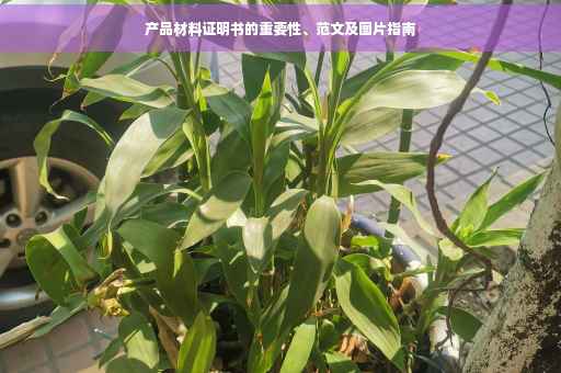产品材料证明书的重要性、范文及图片指南