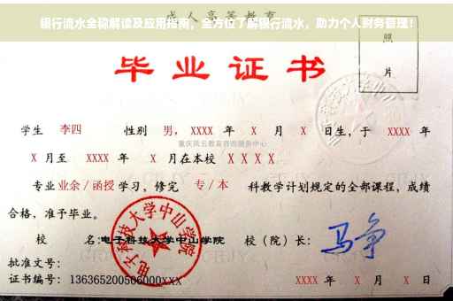 银行流水全称解读及应用指南，全方位了解银行流水，助力个人财务管理！