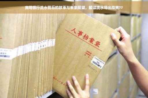 南粤银行流水背后的故事与未来展望，解读流水导出指南??