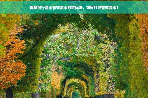 揭秘银行流水有效流水判定标准，如何打造有效流水？