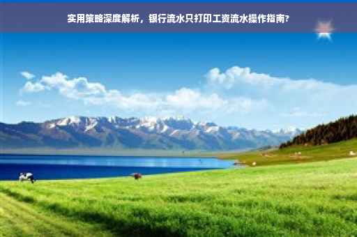 实用策略深度解析，银行流水只打印工资流水操作指南?