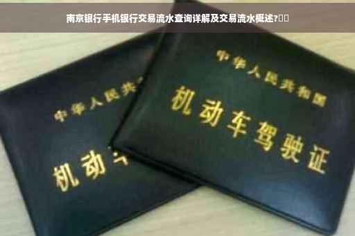南京银行手机银行交易流水查询详解及交易流水概述?⚡️