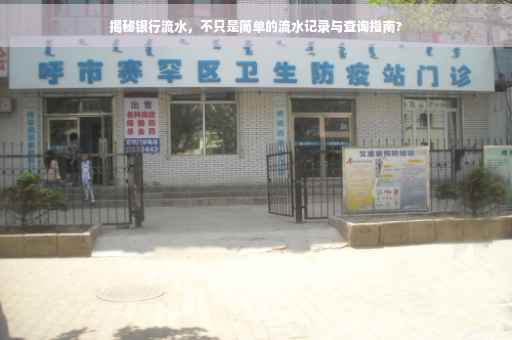 揭秘银行流水，不只是简单的流水记录与查询指南?