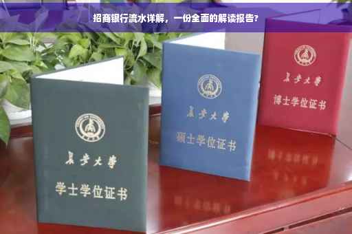 招商银行流水详解，一份全面的解读报告?