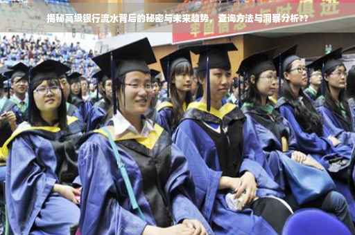 揭秘高级银行流水背后的秘密与未来趋势，查询方法与洞察分析??