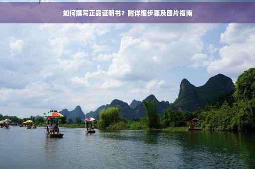 如何撰写正品证明书？附详细步骤及图片指南