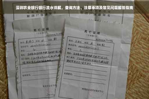 深圳农业银行银行流水详解，查询方法、注意事项及常见问题解答指南
