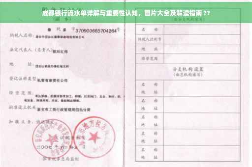 成都银行流水单详解与重要性认知，图片大全及解读指南 ??