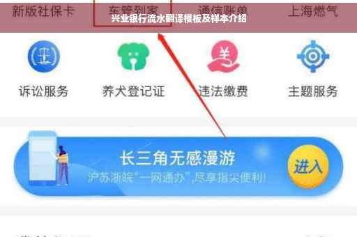 兴业银行流水翻译模板及样本介绍
