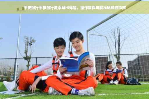 平安银行手机银行流水导出详解，操作教程与解压码获取指南