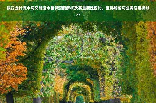 银行会计流水与交易流水差异深度解析及其重要性探讨，差异解析与业务应用探讨??