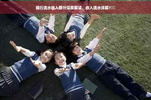 银行流水收入部分深度解读，收入流水详解?⚡️