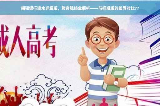 揭秘银行流水详细版，财务脉络全解析——与标准版的差异对比??