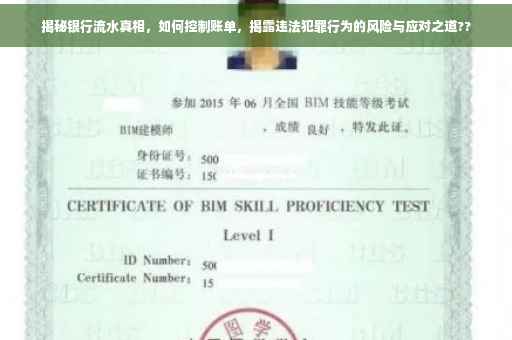 揭秘银行流水真相，如何控制账单，揭露违法犯罪行为的风险与应对之道??