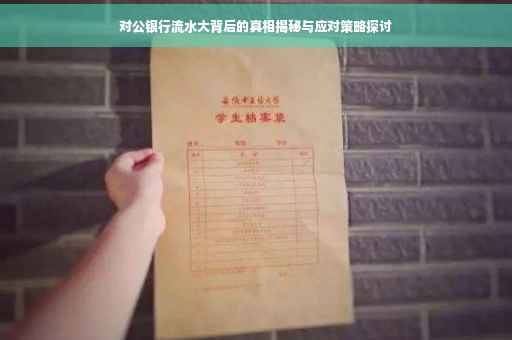 对公银行流水大背后的真相揭秘与应对策略探讨