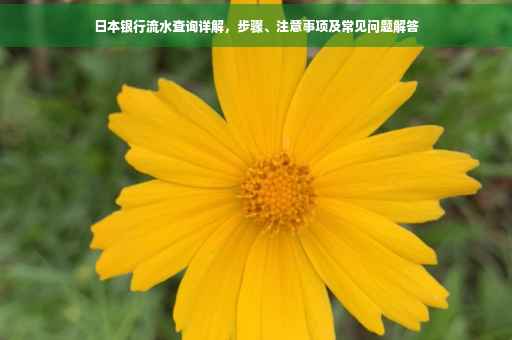 日本银行流水查询详解，步骤、注意事项及常见问题解答