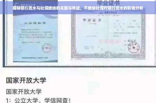 揭秘银行流水与社保缴纳的关联与挑战，不缴纳社保对银行流水的影响分析