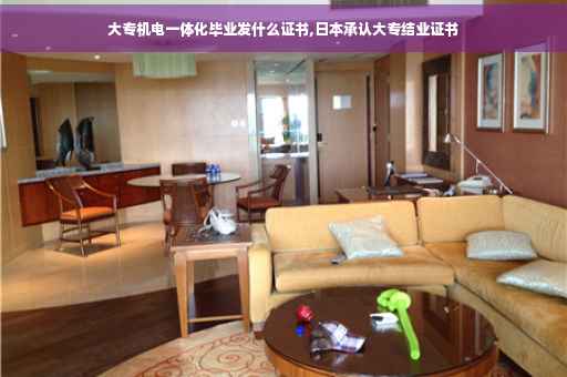 大专机电一体化毕业发什么证书,日本承认大专结业证书