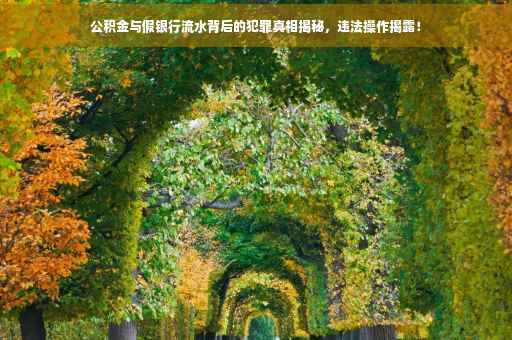 公积金与假银行流水背后的犯罪真相揭秘，违法操作揭露！