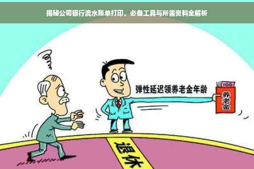 揭秘公司银行流水账单打印，必备工具与所需资料全解析
