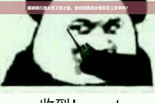 揭秘银行流水无工资之谜，如何说明流水情况无工资字样？