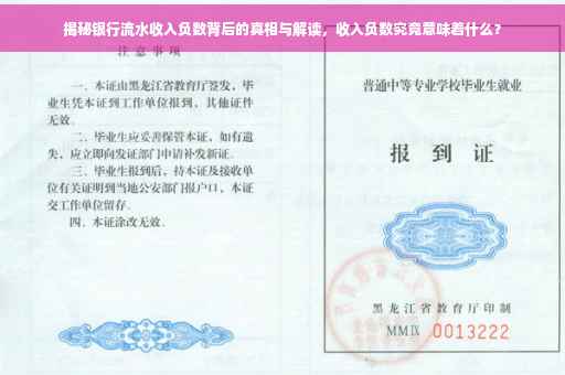 揭秘银行流水收入负数背后的真相与解读，收入负数究竟意味着什么？