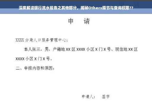 深度解读银行流水报告之其他部分，揭秘Others细节与查询权限??