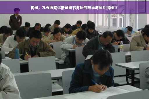 揭秘，九五医院诊断证明书背后的故事与图片揭秘​​