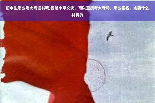 初中生怎么考大专证书呢,我是小学文凭，可以直接考大专吗，怎么报名，需要什么材料的