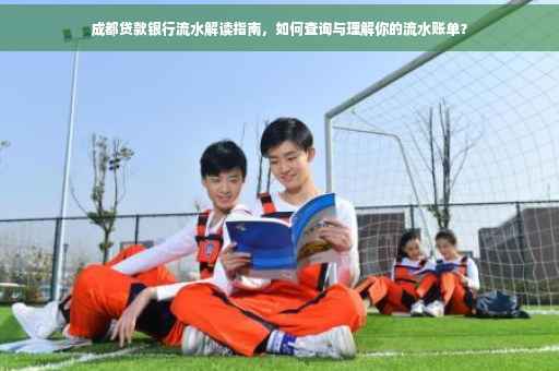 成都贷款银行流水解读指南，如何查询与理解你的流水账单？