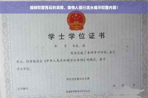 揭秘犯罪背后的真相，查他人银行流水揭示犯罪内幕！