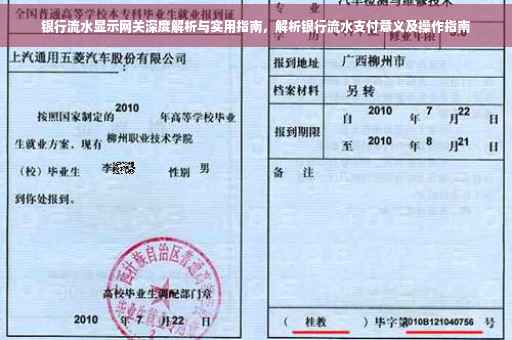 银行流水显示网关深度解析与实用指南，解析银行流水支付意义及操作指南