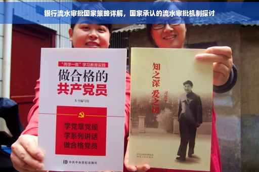 银行流水审批国家策略详解，国家承认的流水审批机制探讨