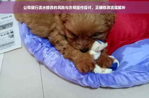 公司银行流水修改的风险与合规操作探讨，正确修改流程解析