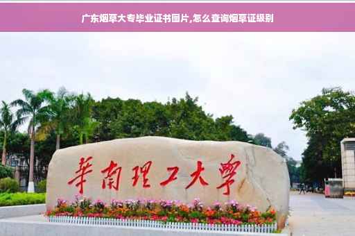 广东烟草大专毕业证书图片,怎么查询烟草证级别