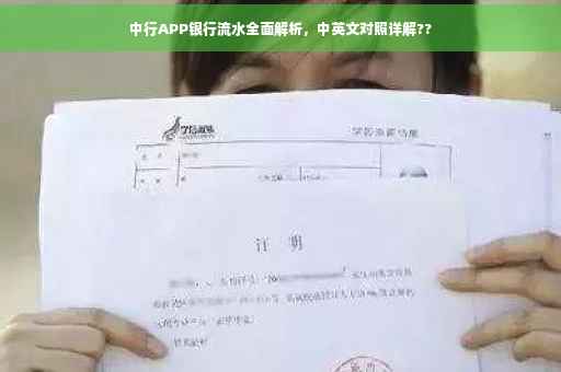 中行APP银行流水全面解析，中英文对照详解??