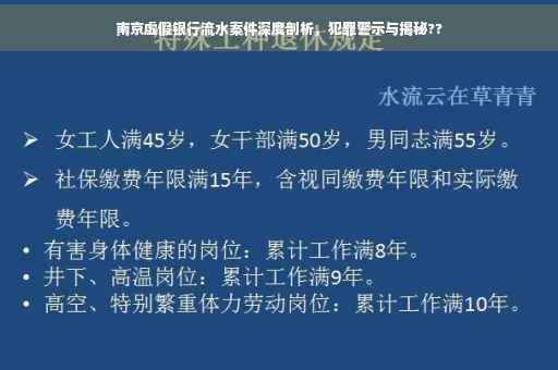 南京虚假银行流水案件深度剖析，犯罪警示与揭秘??