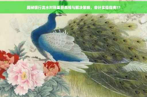 揭秘银行流水对账差异真相与解决策略，会计实操指南??