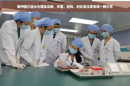 惠州银行流水办理全攻略，步骤、材料、时长及注意事项一网打尽