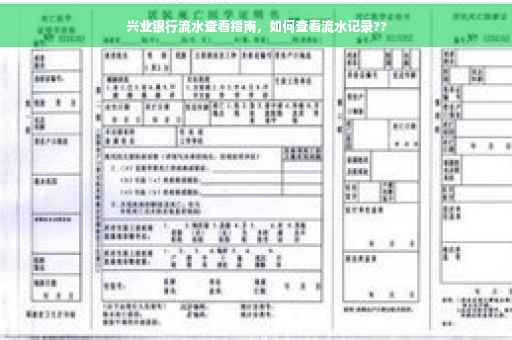 兴业银行流水查看指南，如何查看流水记录??