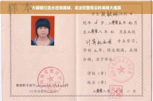 大额银行流水视频揭秘，违法犯罪背后的真相大揭露