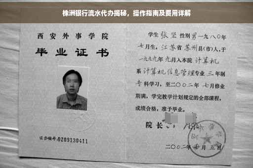株洲银行流水代办揭秘，操作指南及费用详解