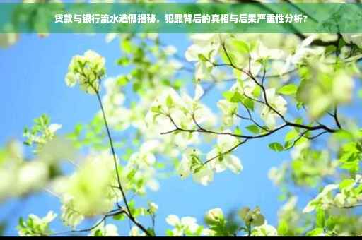 贷款与银行流水造假揭秘，犯罪背后的真相与后果严重性分析?