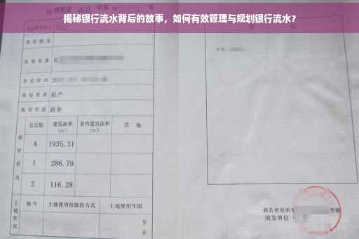 揭秘银行流水背后的故事，如何有效管理与规划银行流水？