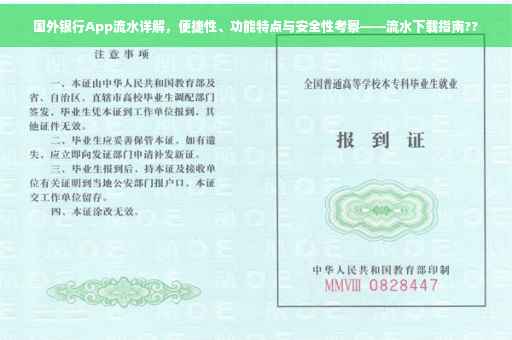 国外银行App流水详解，便捷性、功能特点与安全性考察——流水下载指南??