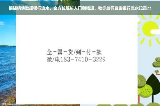 揭秘销售数据银行流水，全方位解析入门到精通，教你如何查询银行流水记录??