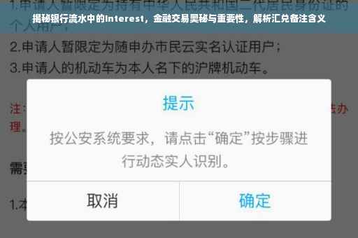揭秘银行流水中的Interest，金融交易奥秘与重要性，解析汇兑备注含义