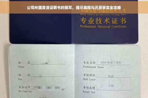 公司所属澄清证明书的撰写，揭示真相与还原事实全攻略